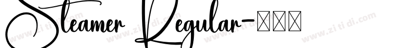 Steamer Regular字体转换